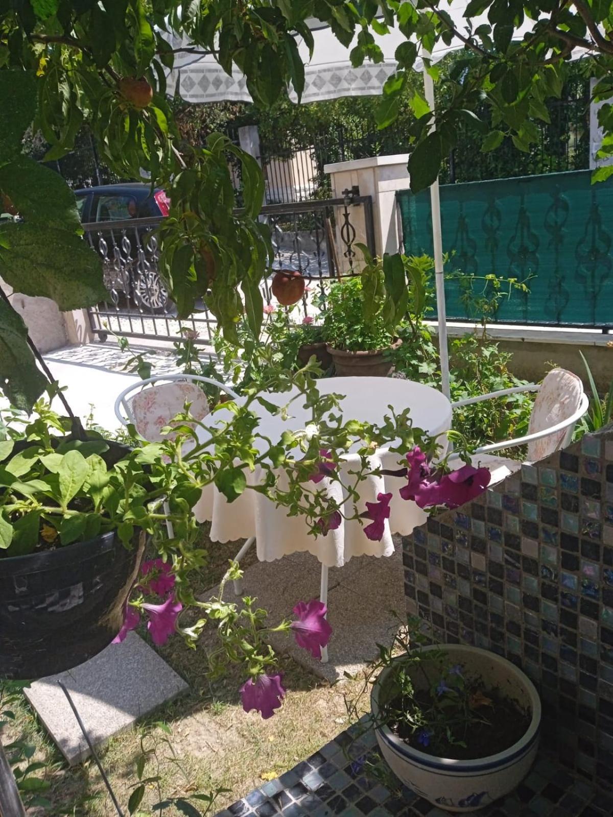 Pelivan Apartments Kaštela Chambre photo
